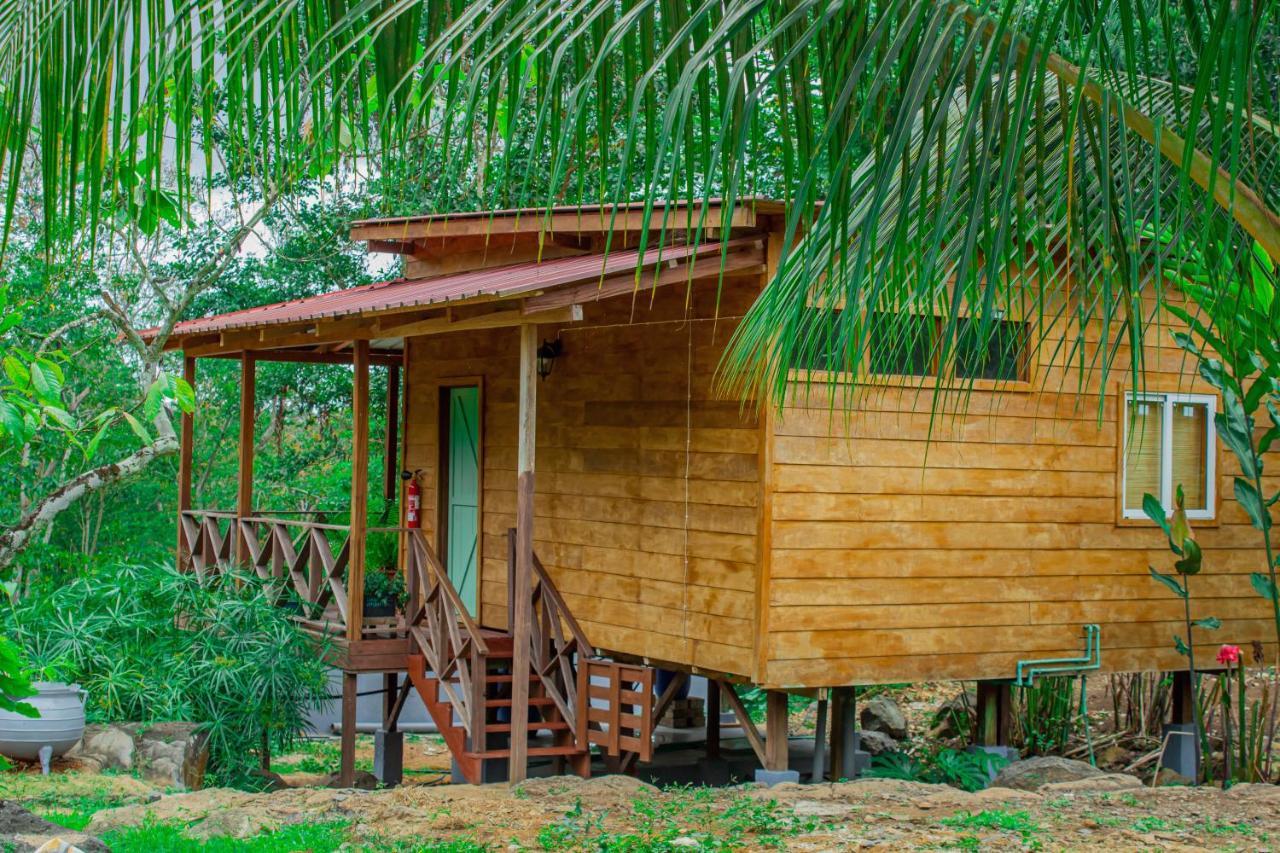 Eden Valley Ecolodge And Farming Madalena エクステリア 写真