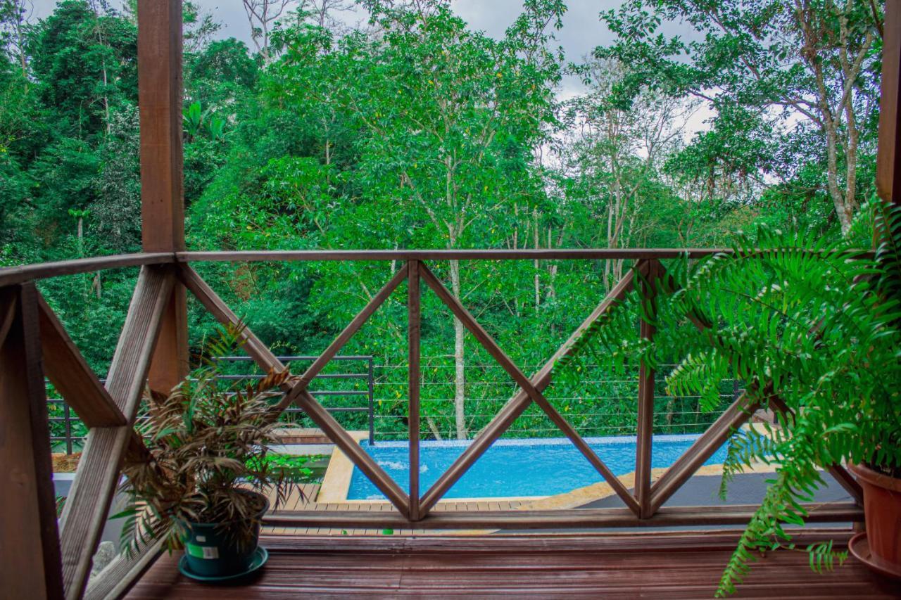 Eden Valley Ecolodge And Farming Madalena エクステリア 写真