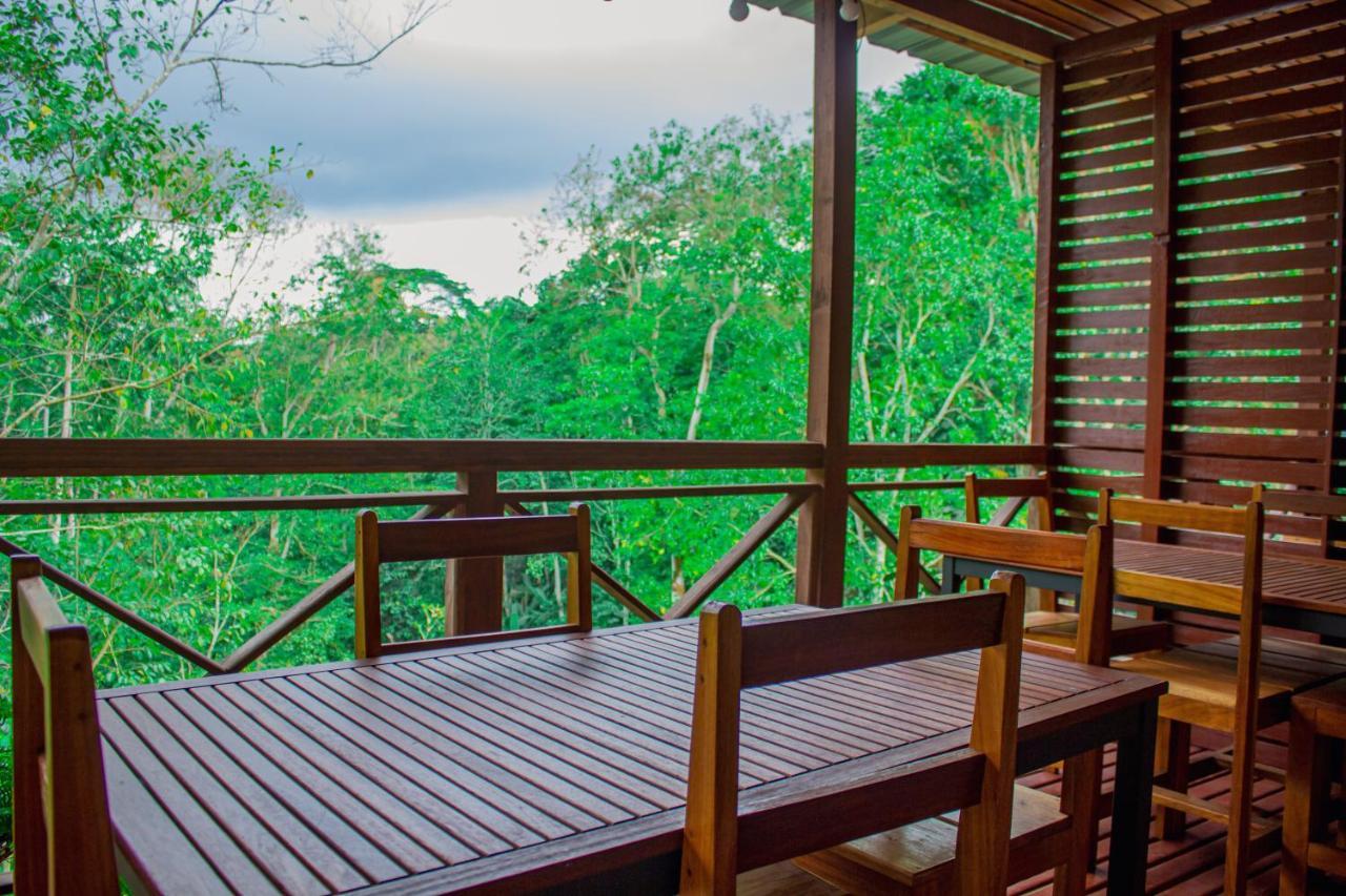 Eden Valley Ecolodge And Farming Madalena エクステリア 写真