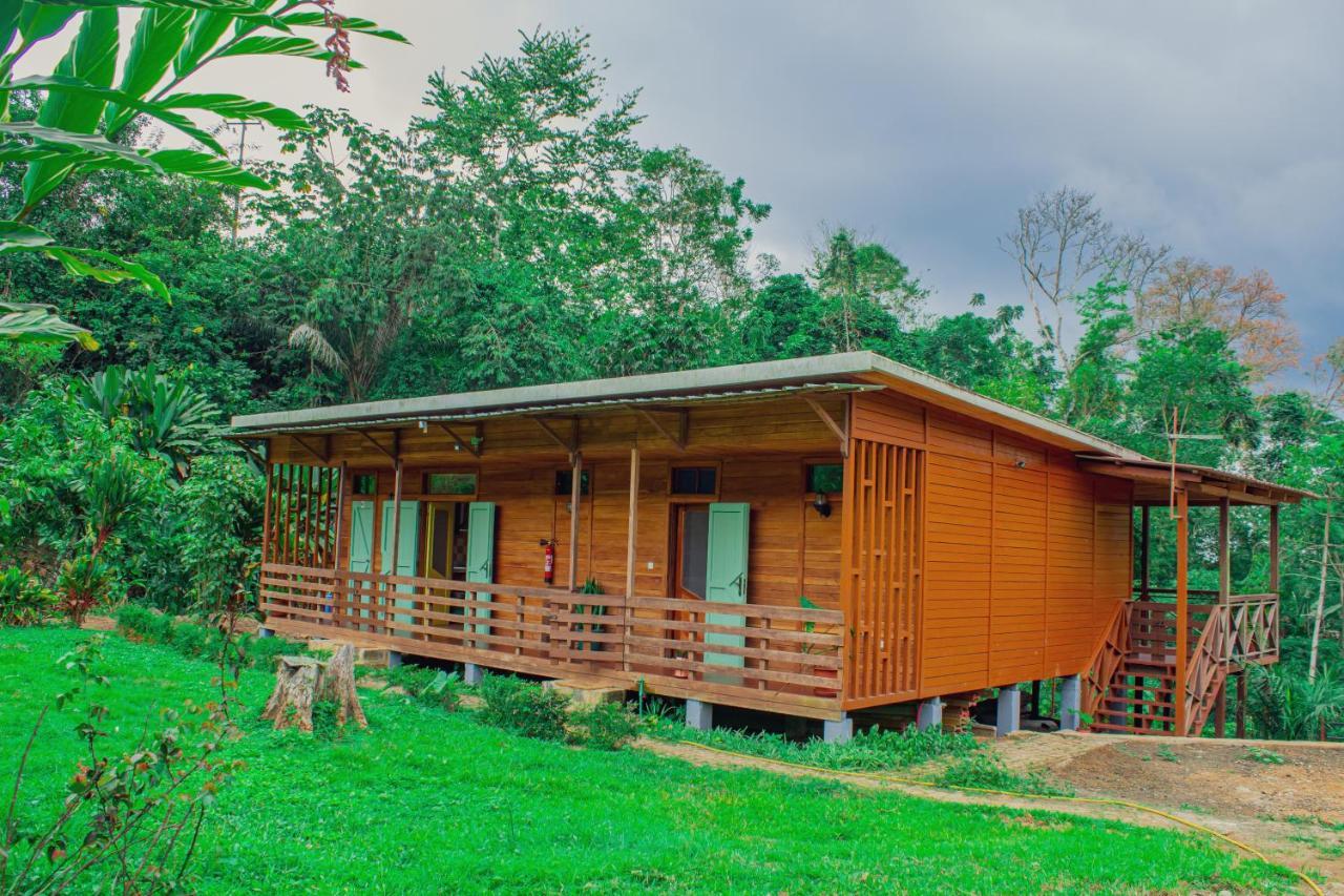 Eden Valley Ecolodge And Farming Madalena エクステリア 写真