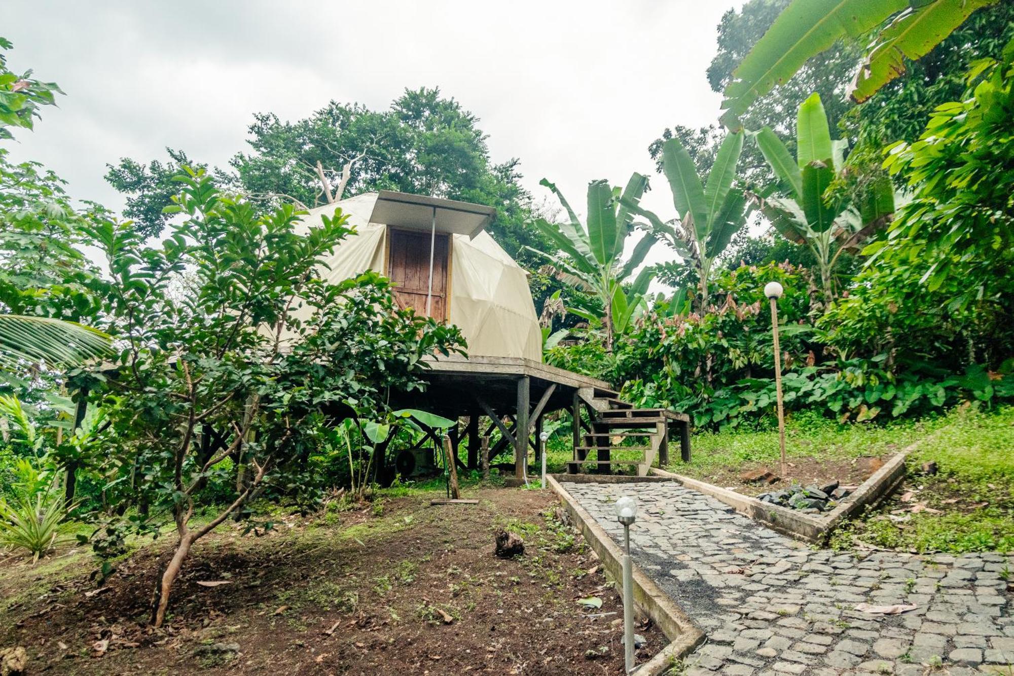Eden Valley Ecolodge And Farming Madalena エクステリア 写真